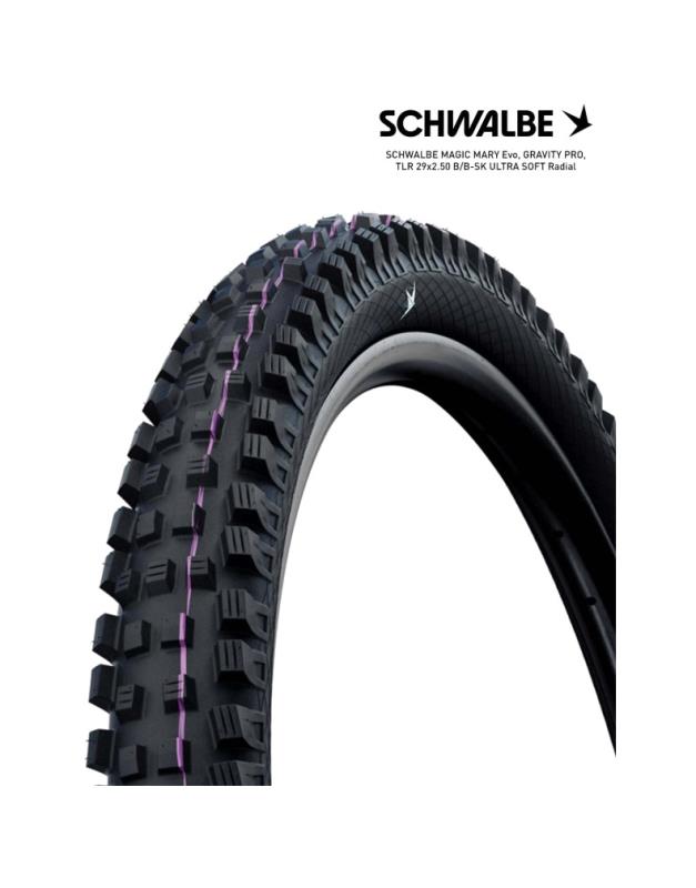 SCHWALBE Tire bicycle MAGIC MARY EVO GRAVITY PRO TLR 29X2.50 B/B-SK 4026495949804
