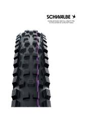 SCHWALBE Tire bicycle MAGIC MARY EVO GRAVITY PRO TLR 29X2.50 B/B-SK 4026495949804