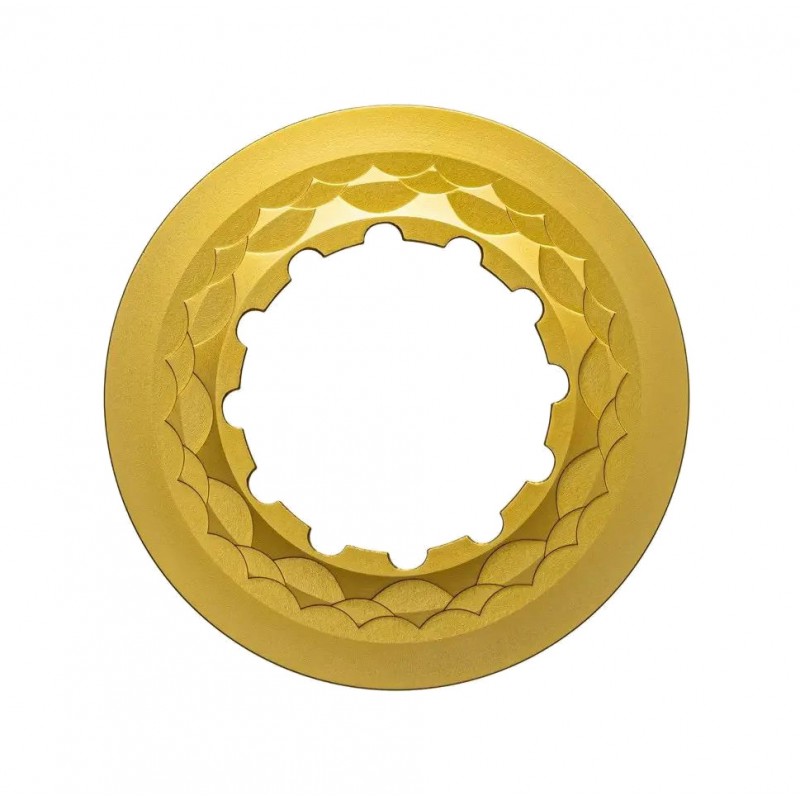 ABSOLUTE BLACK Anillo de bloqueo para disco freno 15/20 MM CENTERLOCK 729101VAR