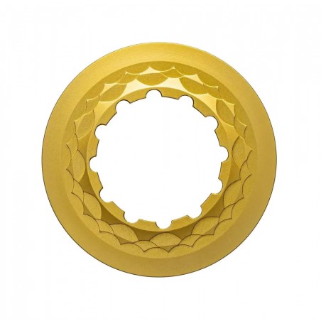 ABSOLUTE BLACK Locking ring for brake disc 15/20 MM CENTERLOCK 729101VAR