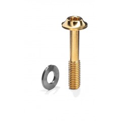 ABSOLUTE BLACK Flat mount brake caliper bolt M5X15 MM TITANIO 729106VAR