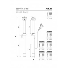 XLC Tija telescópica para bicicleta SP-T20 30.9 450 MM 150 2502069936