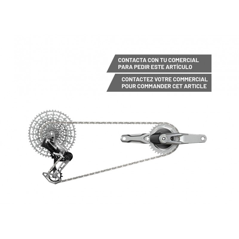 SRAM Electronic exchange group GS 1987 T-TYPE EAGLE AXS WIDE POD DM 1X12V (10-52) 109123