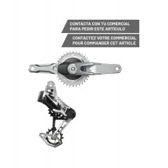 SRAM Grupo de cambio electrónico GS 1987 T-TYPE EAGLE AXS WIDE POD DM 1X12V (10-52) 109123