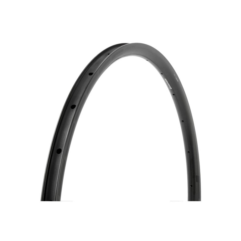 PROGRESS Graphene rim with ASPIN DISC 25MM ROAD 24 tire PGLLCBASDGNG24