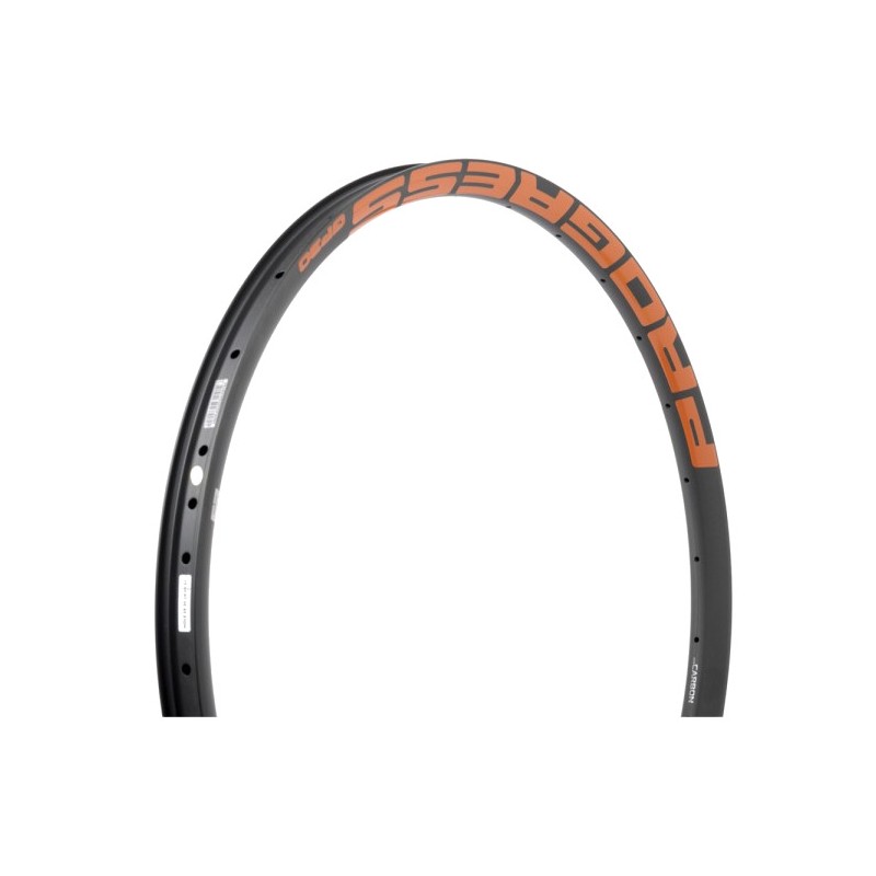 PROGRESS Llanta de montaña GP30 29 CARBON MTB 28 PGLLGP30NJ28