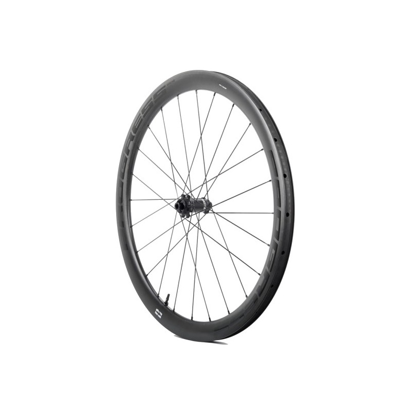 PROGRESS Rueda delantera para cubierta AERO 45 DISC 12X100 PGRUAE45DCDUNG