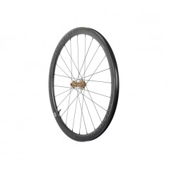 PROGRESS Rueda delantera para cubierta AERO 38 DISC 12X100 PGRUAED25CDUNBZ
