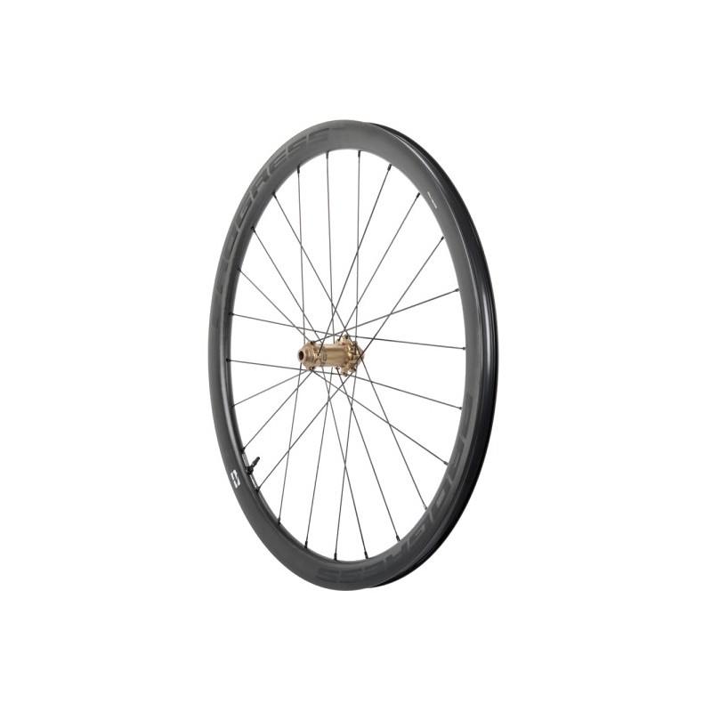 PROGRESS Rueda delantera para cubierta AERO 38 DISC 12X100 PGRUAED25CDUNBZ