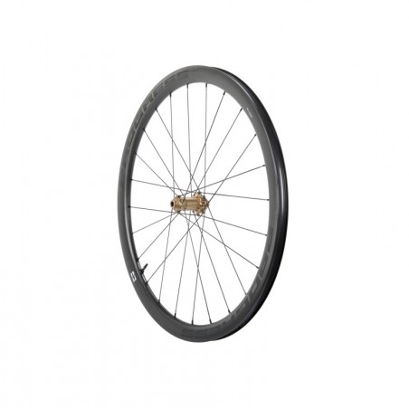 PROGRESS Rueda delantera para cubierta AERO 38 DISC 12X100 PGRUAED25CDUNBZ