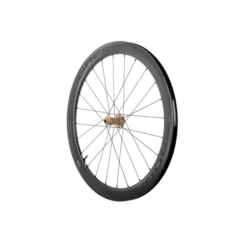 PROGRESS Rueda delantera para cubierta A-PRIME DISC 12X100 PGRUAPDN2CDUNBZ