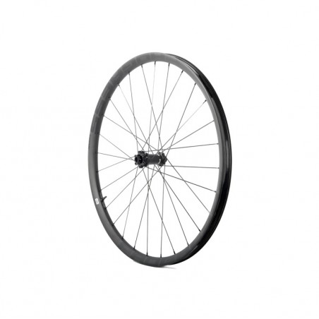 PROGRESS GPX NEXO 29 BOOST 15X110 Front Wheel PGRUGPXN29BDUNG