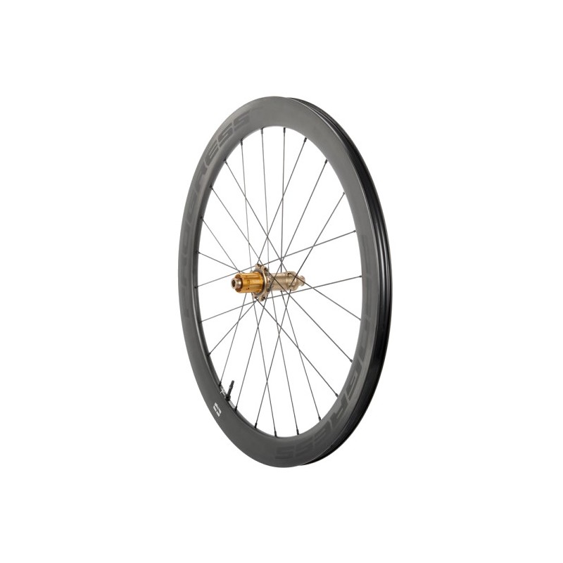 PROGRESS Rueda trasera para cubierta A-PRIME DISC 12X142 CAMPAGNOLO N3W PGRUAPDN2CTN3WNBZ