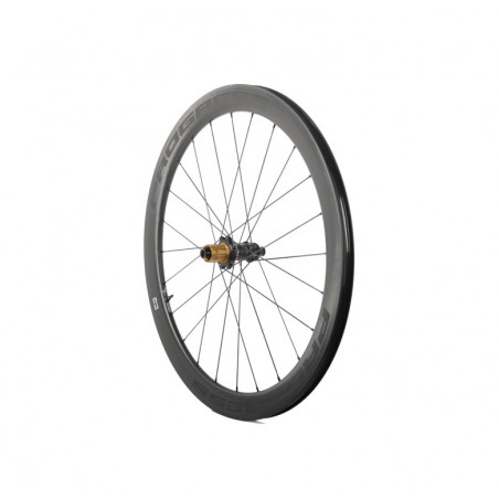 PROGRESS Tubular rear wheel A-PRIME DISC 12X142 CAMPAGNOLO N3W PGRUAPDN2TTN3WNG