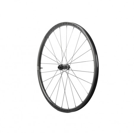 PROGRESS Rueda trasera para cubierta ASPIN DISC 12X142 CAMPAGNOLO N3W PGRUASPDCTN3WNG