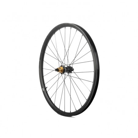 PROGRESS Rear wheel GP30 29 12X142 MICROSPLINE PGRUGP30NTMSNG
