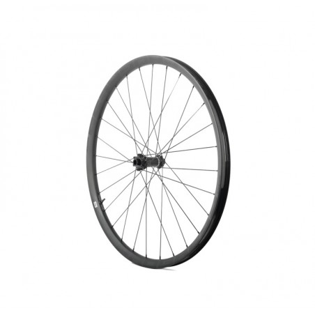 PROGRESS Front wheel GPX 29 LEFTY 2.0/SPMAX PGRUGPX29DLMUNG