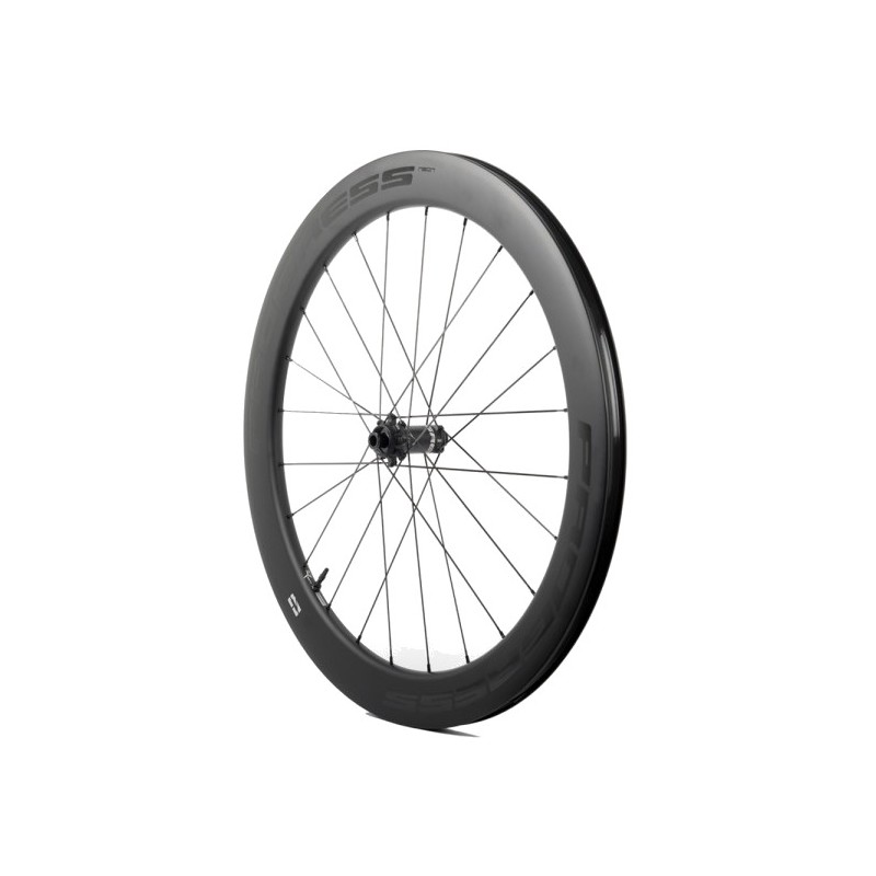 PROGRESS Front Wheel for Clincher NEON DISC 12X100 PGRUNEDN2CDUBBZ