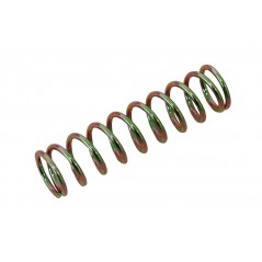 MASSI ACTION ROLLER replacement spring 59846