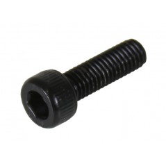 MASSI Lower swingarm bolt - frame AIRE SLR 7 63969