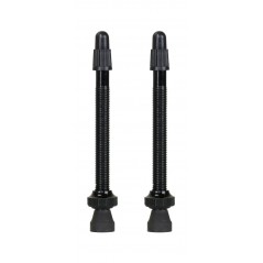 MASSI Tubeless valve (2PCS) 65197