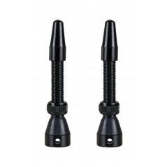 MASSI Tubeless valve HIGH-FLOW (2PCS) 65355VAR