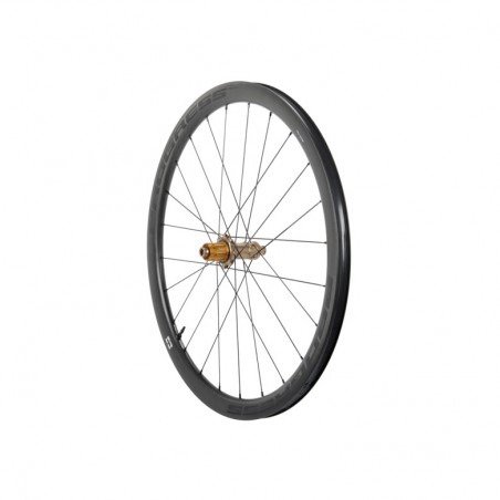 PROGRESS Rear Wheel for Clincher AERO 38 DISC 12X142 CAMPAGNOLO N3W PGRUAED25CTN3WNBZ