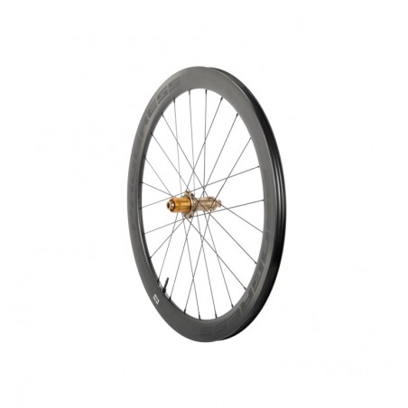 PROGRESS Rear Wheel for Clincher A-PRIME DISC 12X142 CAMPAGNOLO N3W PGRUAPDN2CTN3WNBZ