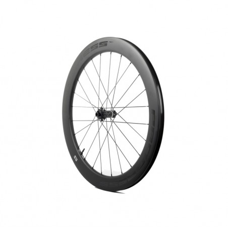 PROGRESS Front Wheel for Clincher NEON DISC 12X100 PGRUNEDN2CDUNG