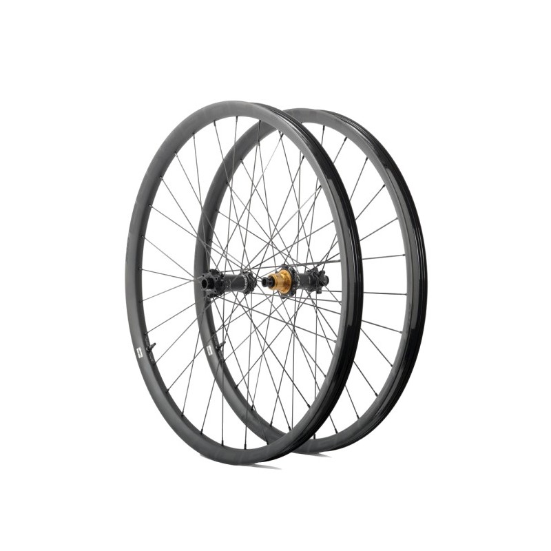 PROGRESS Juego de ruedas SET GPX NITRO2 29 BOOST 15X110/12X148 MICROSPLINE PGRUGPXN229BJMSNG