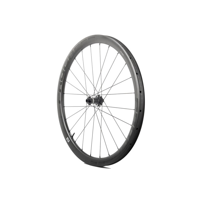 PROGRESS Rueda delantera GRX40 12X100 PGRUGRX40CDUNG