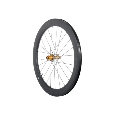 PROGRESS Rueda trasera para cubierta NEON DISC 12X142 SRAM XDR PGRUNEDN2CTXDRNBZVAR