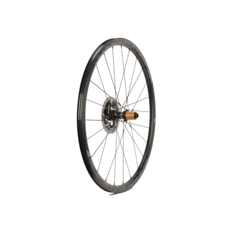 PROGRESS Rueda trasera SONIC DISC 12X142 CAMPAGNOLO N3W PGRUSODTN3WNG