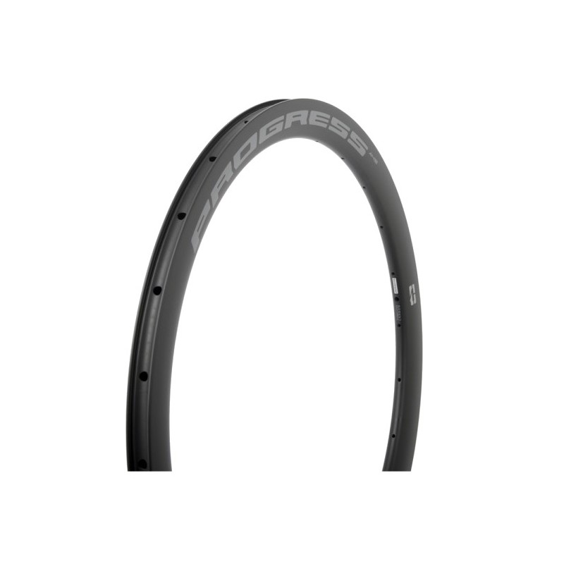 PROGRESS Llanta cubierta de carretera AIRSPEED A45 DISC CARBON 45MM ROAD 28 2024 PGLLASPD45CNG28