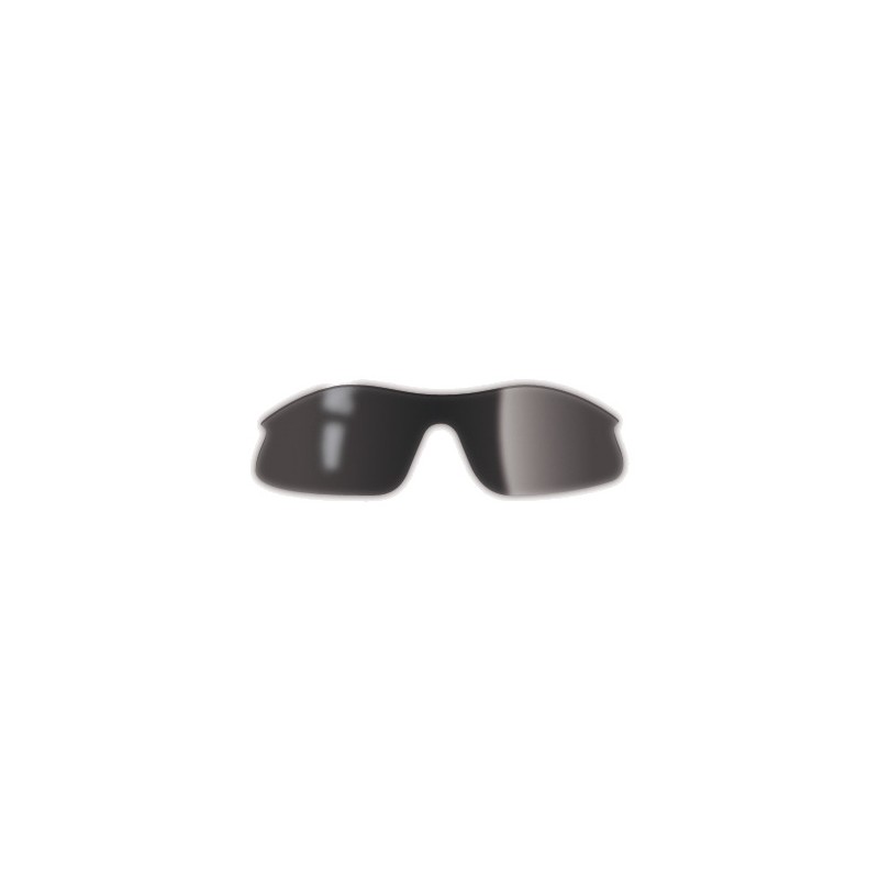 NW Lens for BIZZY SMOKE glasses NW085103013