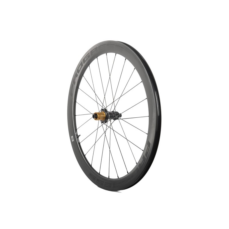 PROGRESS Tubular rear wheel A-PRIME DISC 12X142 CAMPAGNOLO N3W PGRUAPDN2TTN3WNG