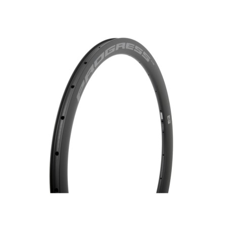 PROGRESS Llanta cubierta de carretera AIRSPEED A45 DISC CARBON 45MM ROAD 28 2024 PGLLASPD45CNG28