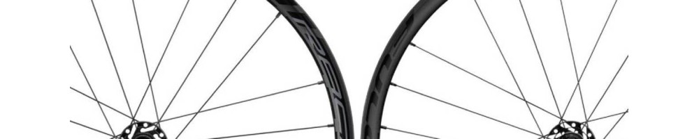 Radios de rueda de bicicleta ¡Compra Online! - Biketic