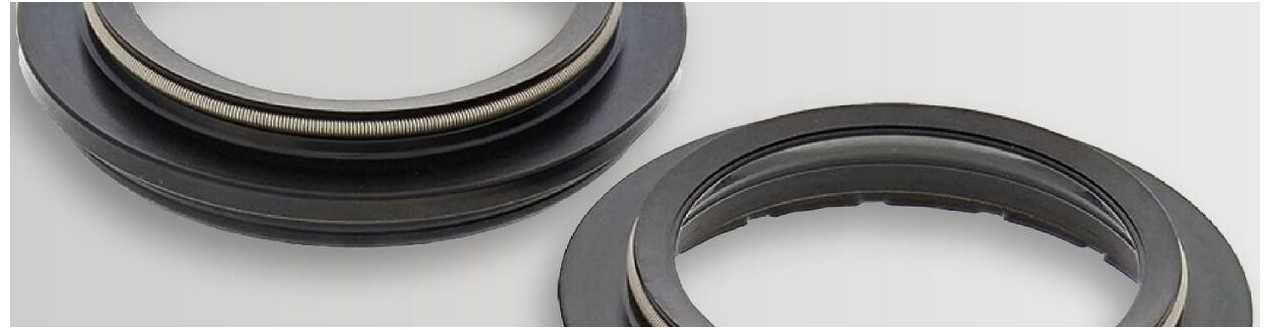 Fork seals and dust covers at unbeatable prices - Mototic