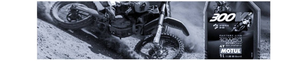 Oli e lubrificanti per moto, moto d''acqua e motoslitte - Mototic
