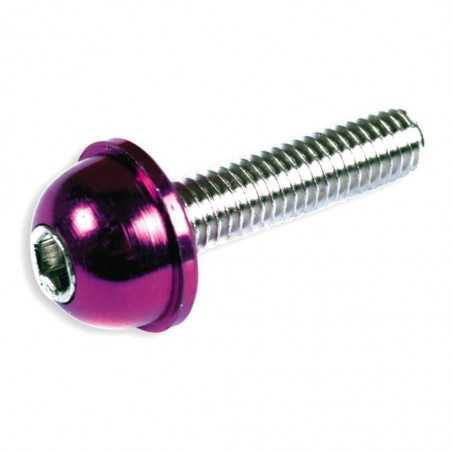 Screw, allen with ridged convex head blister various units