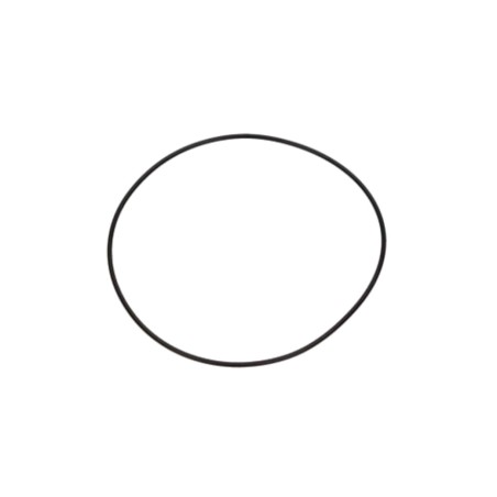 o-ring