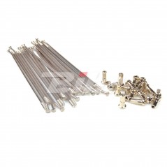Set of silver spokes  15 06200