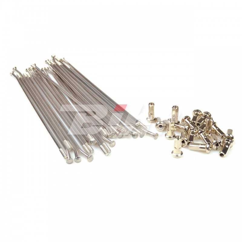 HAAN WHEELS Juego de radios plata para llanta 19 buje OEM 25 4104 62339