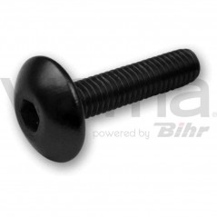 Blister kit 6 fairing allen screws, various colors  sizes