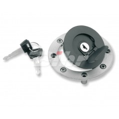 Plug, gasoline reservoir