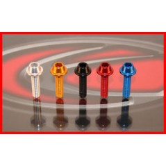 EVOTECH Tornillo mecanizado de aluminio ergal TCRCE M6 - Marca