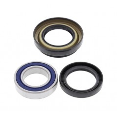 Kit, bearings, wheel, rear