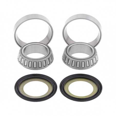 Kit, bearings and seals spine steering