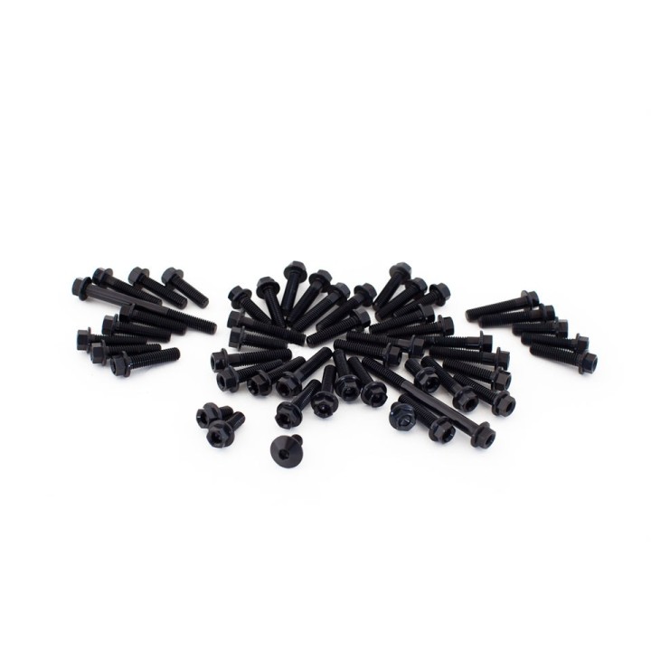 Engine screw kit